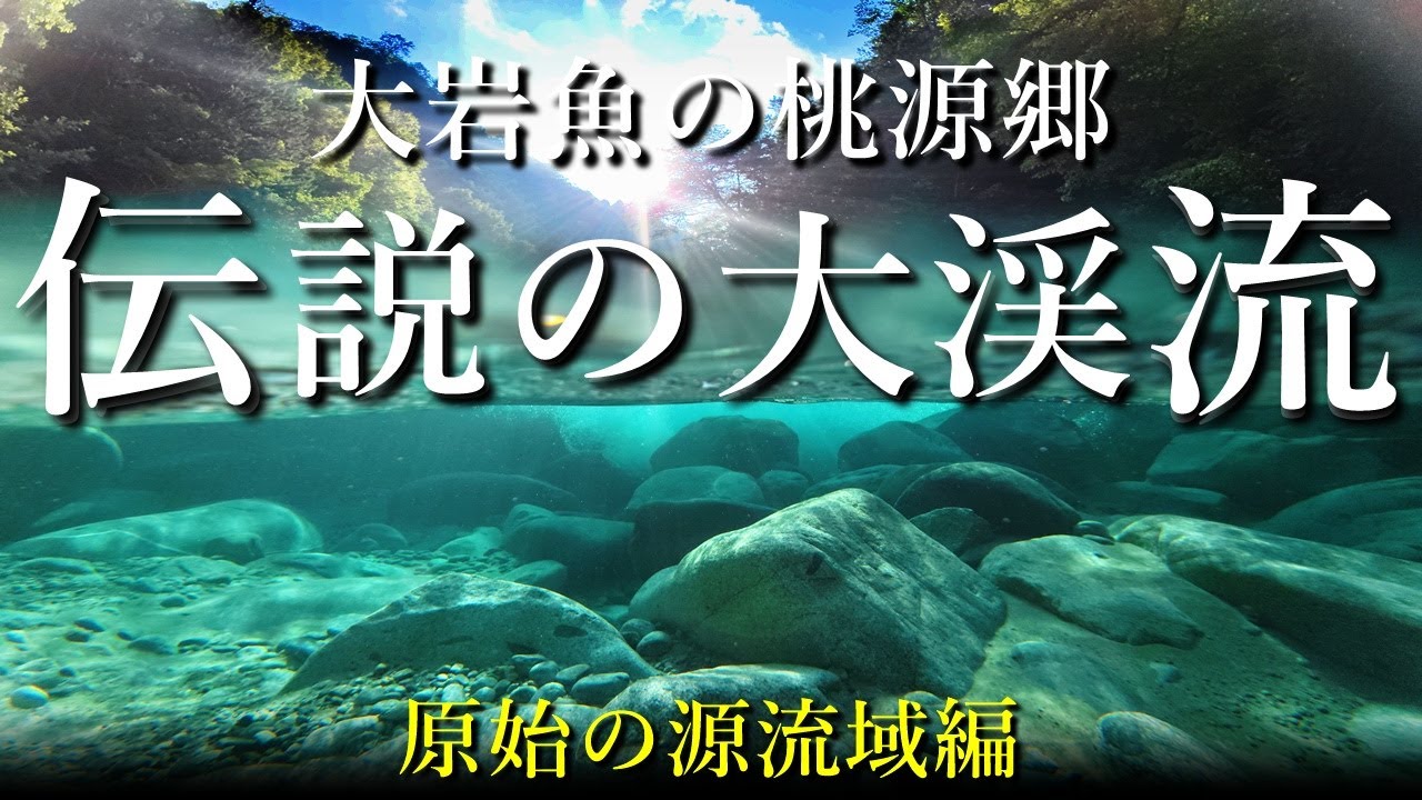 伝説の大渓流|深山幽谷"原始の源流域"に潜む大岩魚を求め…|夏の渓流釣り遠征【源流域編】