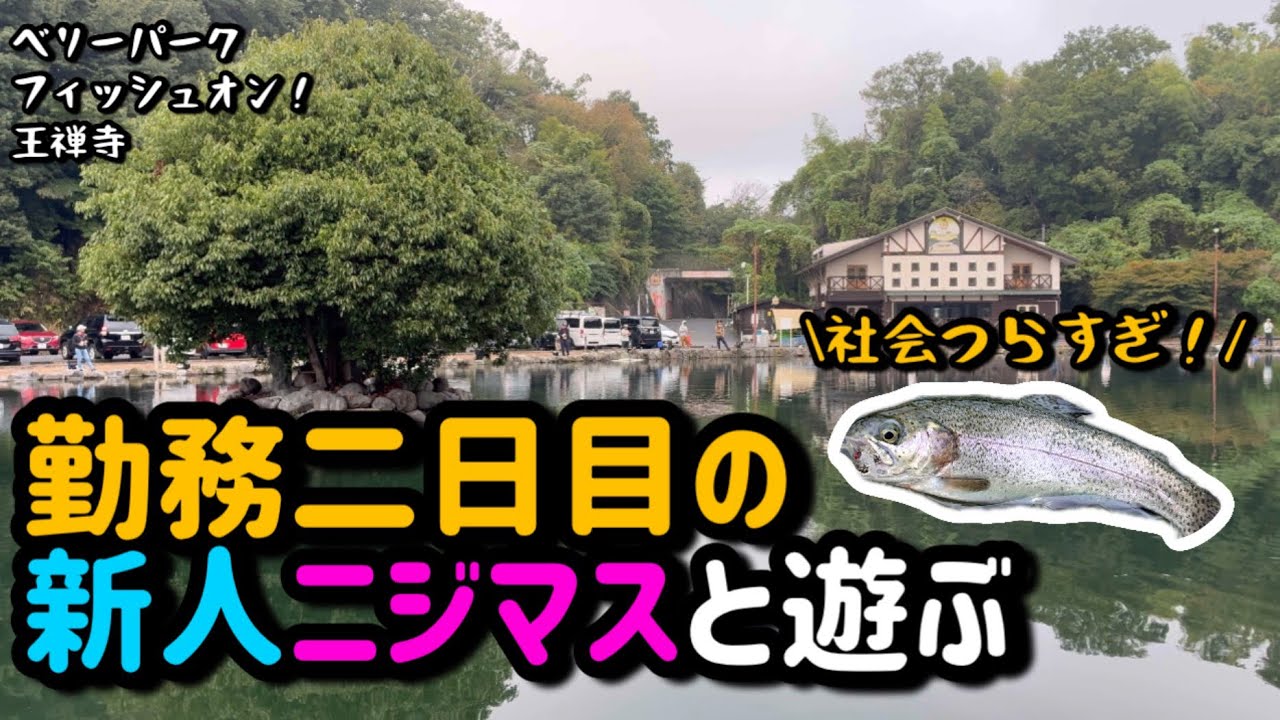 【エリアトラウト】リニューアル二日目のイチロー池ってどんなかんじ？【王禅寺】