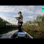 【多々良沼バス】満水期の自然豊かな多々良沼を、レンタルボートで釣る