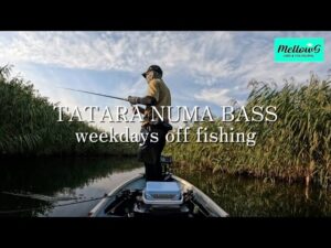 【多々良沼バス】満水期の自然豊かな多々良沼を、レンタルボートで釣る