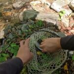 【渓流釣り】ホームで渓流納め