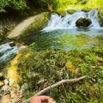 【渓流釣り】最上流の"里のチョロ"息を呑んだ…来春に繋ぐラスト