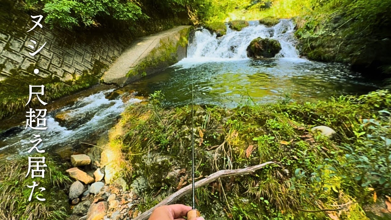 【渓流釣り】最上流の"里のチョロ"息を呑んだ…来春に繋ぐラスト