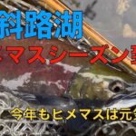屈斜路湖　ヒメマスシーズン到来　今年もヒメマスは元気です