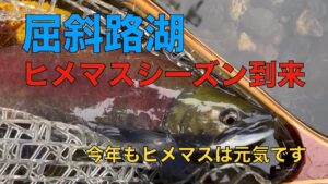 屈斜路湖　ヒメマスシーズン到来　今年もヒメマスは元気です