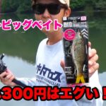 【ダイソービッグベイト】いや、これは業界泣かせでしょ…