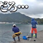 こんな魚、誰が想像できるんや…。いつも通り堤防で釣りを楽しんでたら、想像をはるかに上回る魚が釣れてしまった件。