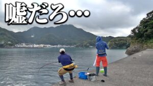 こんな魚、誰が想像できるんや…。いつも通り堤防で釣りを楽しんでたら、想像をはるかに上回る魚が釣れてしまった件。