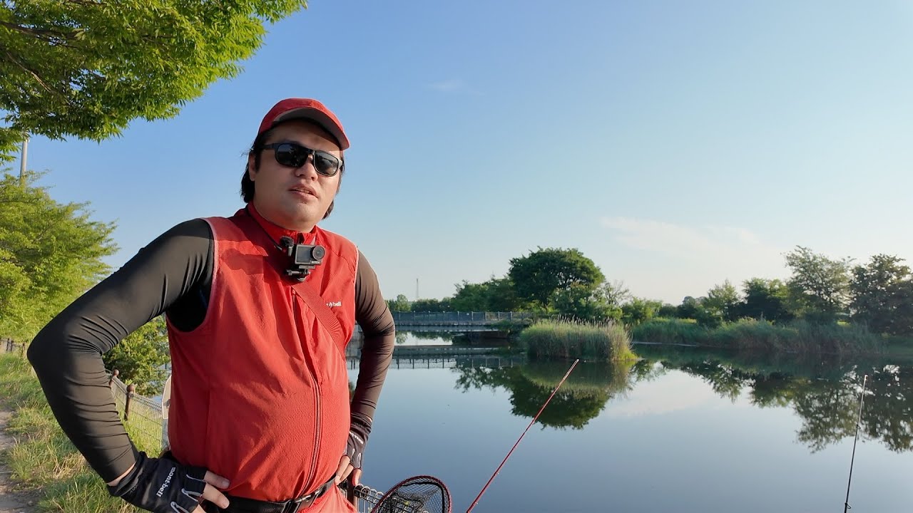 埼玉県の柴山沼ってどうなん？