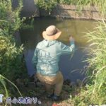 人生初の魚が釣れちゃいました！ なんだこれー？？  茨城県 稲敷市で小物釣り。