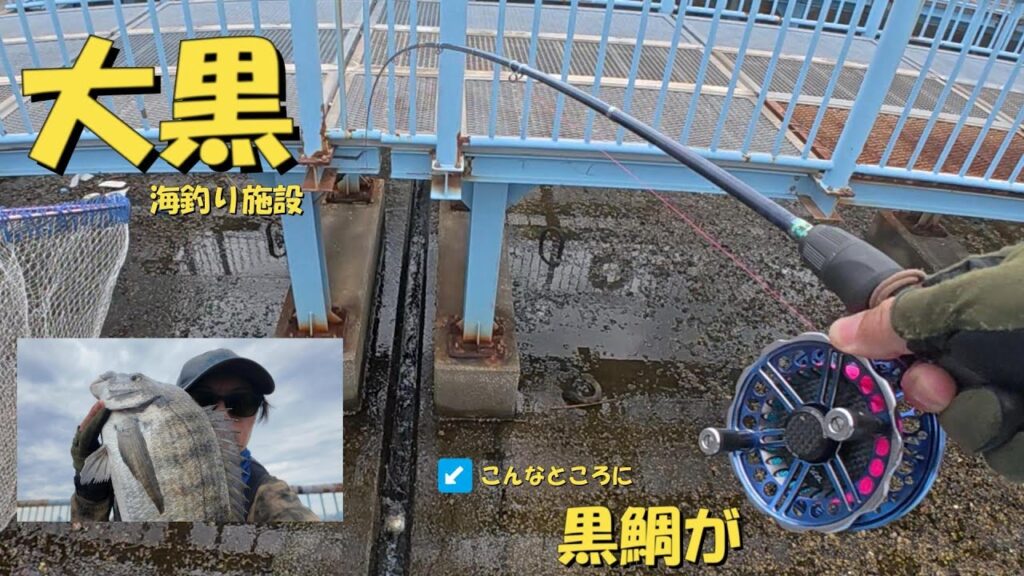 [ヘチ釣り]　大黒海釣り施設で黒鯛の穴釣り！！ #城南島海浜公園　#大黒海づり施設