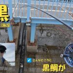[ヘチ釣り]　大黒海釣り施設で黒鯛の穴釣り！！ #城南島海浜公園　#大黒海づり施設