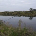 河川のぶっこみ釣りでウナギ狙いでナマズ祭り！