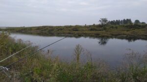 河川のぶっこみ釣りでウナギ狙いでナマズ祭り！