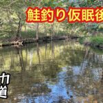 【渓流釣り】海・川釣りのダブルヘッダー(川釣り編)【ルアーフィッシング】