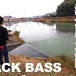 赤松健が四国を代表するサイトリバー・波介川を攻略 『バスギャラリー』【釣りビジョン】