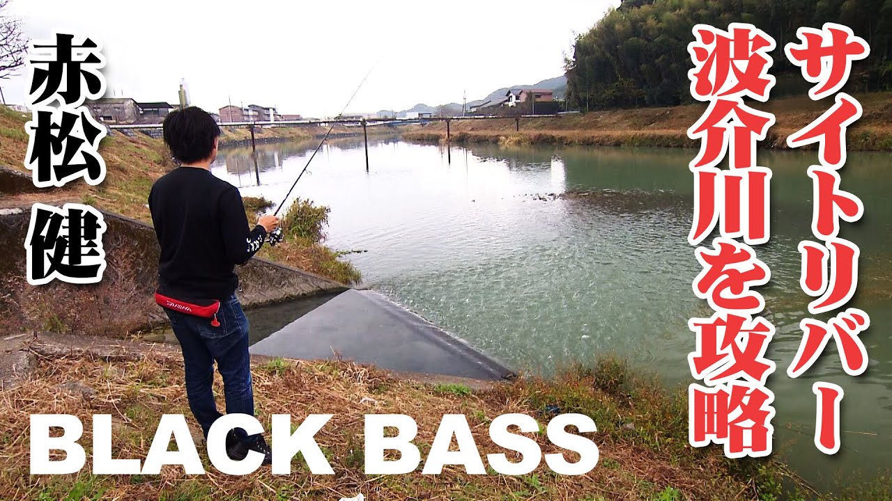 赤松健が四国を代表するサイトリバー・波介川を攻略 『バスギャラリー』【釣りビジョン】