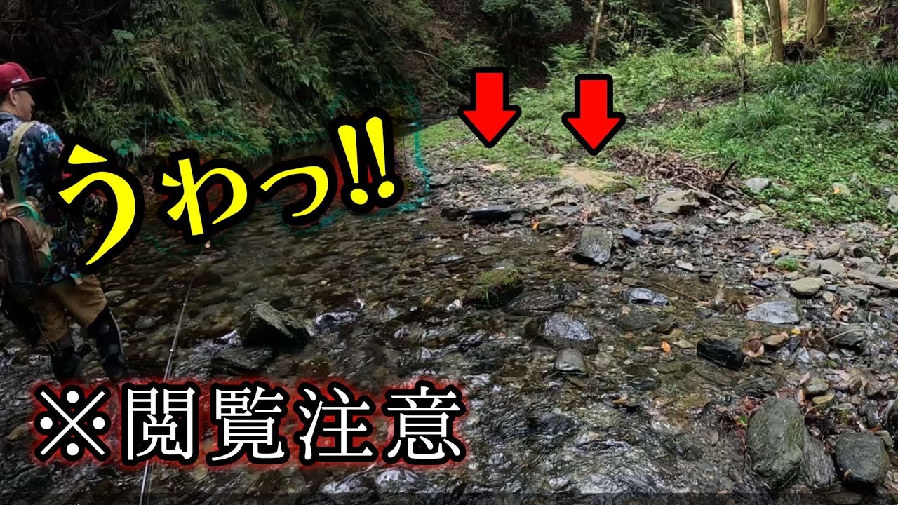 【閲覧注意】禁漁前に行った川でおぞましい光景を目にする