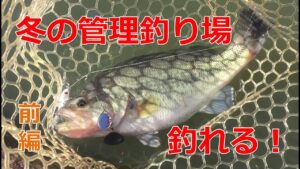 冬の管理釣り場は超楽しい!フィッシングパル佐野でバス釣り!