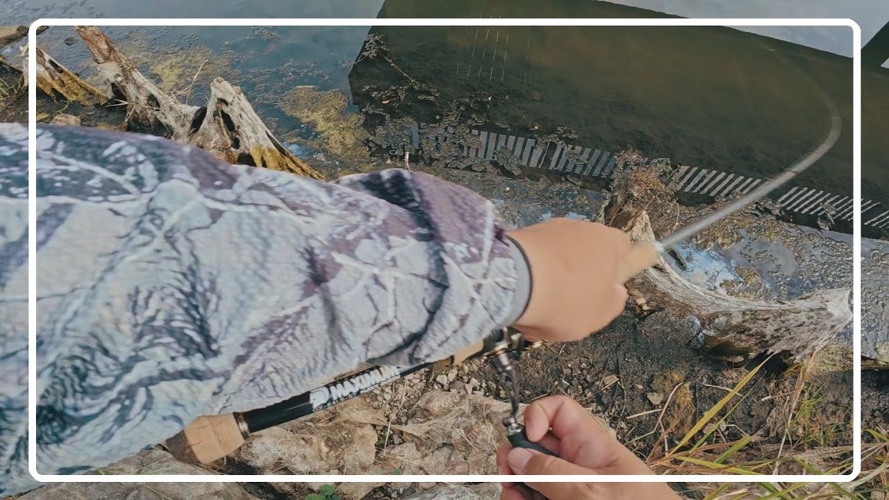 柴山沼がどんな場所かって?それは…