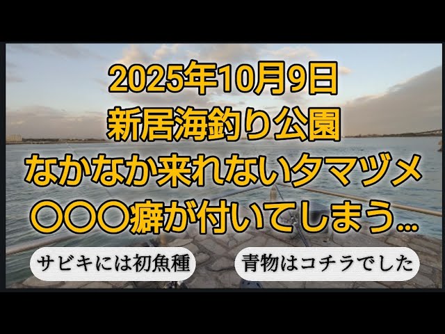 浜名湖新居海釣り公園　ほとんど来ない夕マヅメ　サビキは初魚種　ルアー釣りでは初釣果🎵