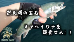 【然別湖の宝石】数万年の時を泳ぐ奇跡の魚、ミヤベイワナを調査せよ! #北海道 #釣り #ボートフィッシング #ミヤベイワナ #然別湖