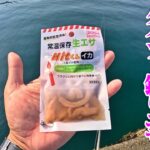 安いだけじゃなく、ちゃんと釣れる。ダイソー釣りエサの実釣力は本物だった…。