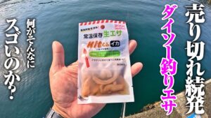 安いだけじゃなく、ちゃんと釣れる。ダイソー釣りエサの実釣力は本物だった…。