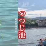 岐阜県の管理釣り場 大型サイズが釣れるつつじ池でへらぶな釣り