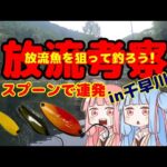 【管理釣り場】放流魚を狙って釣ろう！スプーンで連発？千早川【エリアトラウト】