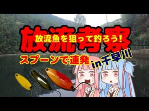 【管理釣り場】放流魚を狙って釣ろう!スプーンで連発?千早川【エリアトラウト】