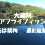 エリアフライフィッシング【管理釣り場】