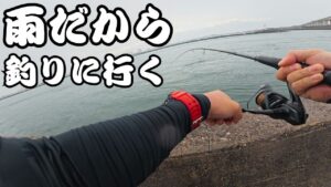 【サーフ&浜名湖】雨の降りしきる中気合で取った一本は格別でした・・・