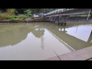 【浜名湖釣り】🎣今季もそろそろハゼ釣り難しくなりそう…🐟️ガチ地元バージョン