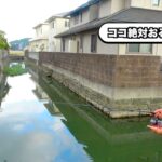 【徹底調査】街中の水路にバスはいるのか。