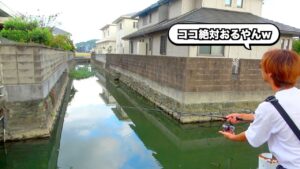 【徹底調査】街中の水路にバスはいるのか。