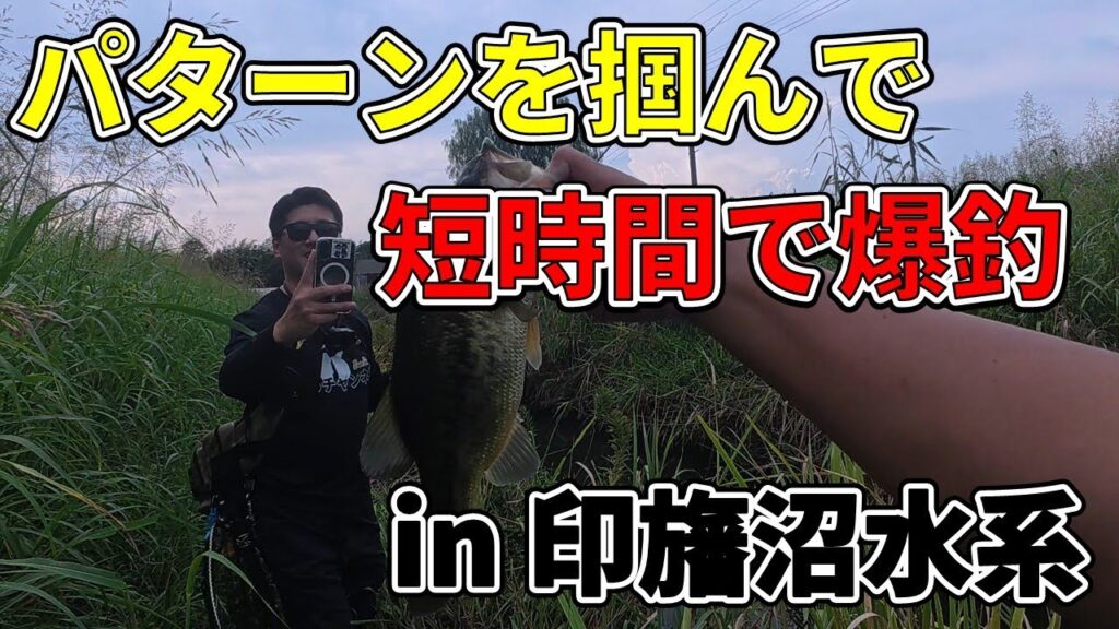 【印旛沼水系】パターンさえ掴めばめちゃくちゃ釣れます