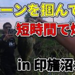 【印旛沼水系】パターンさえ掴めばめちゃくちゃ釣れます