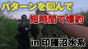 【印旛沼水系】パターンさえ掴めばめちゃくちゃ釣れます