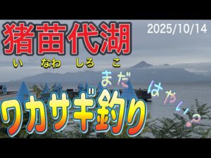 【ワカサギ釣り】猪苗代湖のワカサギは　どうなの？#ワカサギ釣り #猪苗代湖
