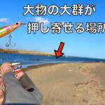 大物群れる「天然の釣り堀状態」の海にいろんなルアーを投げてみると‥