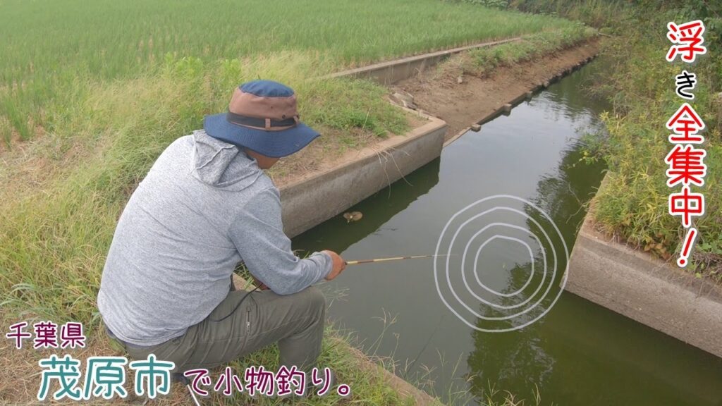 浮きに全集中！！  水路での釣りは面白い！ 千葉県 茂原市で小物釣り。