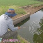 浮きに全集中！！  水路での釣りは面白い！ 千葉県 茂原市で小物釣り。