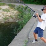 橋の下に潜んでいたヤバい巨大魚釣った！