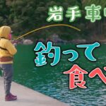 【岩手釣り車中泊】●●が爆釣！？三陸の海で釣りしたら楽しすぎた…！