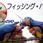 バス釣り　管理釣り場で最強はヤマセンコーのノーシンカーリグ？を確認する。＠フィッシング・パル佐野