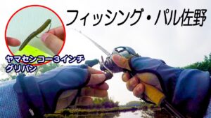 バス釣り　管理釣り場で最強はヤマセンコーのノーシンカーリグ？を確認する。＠フィッシング・パル佐野