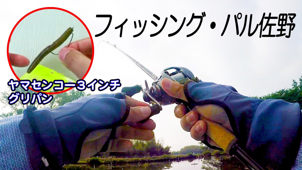 バス釣り 管理釣り場で最強はヤマセンコーのノーシンカーリグ?を確認する。@フィッシング・パル佐野