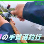 【ライギョ・バス釣り】だんだん良くなっている手賀沼で久しぶりに釣行してみた。　＃バス釣り　＃レイドジャパン　＃レベルクランクピング　＃トップウォーター