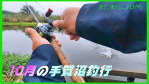 【ライギョ・バス釣り】だんだん良くなっている手賀沼で久しぶりに釣行してみた。　＃バス釣り　＃レイドジャパン　＃レベルクランクピング　＃トップウォーター